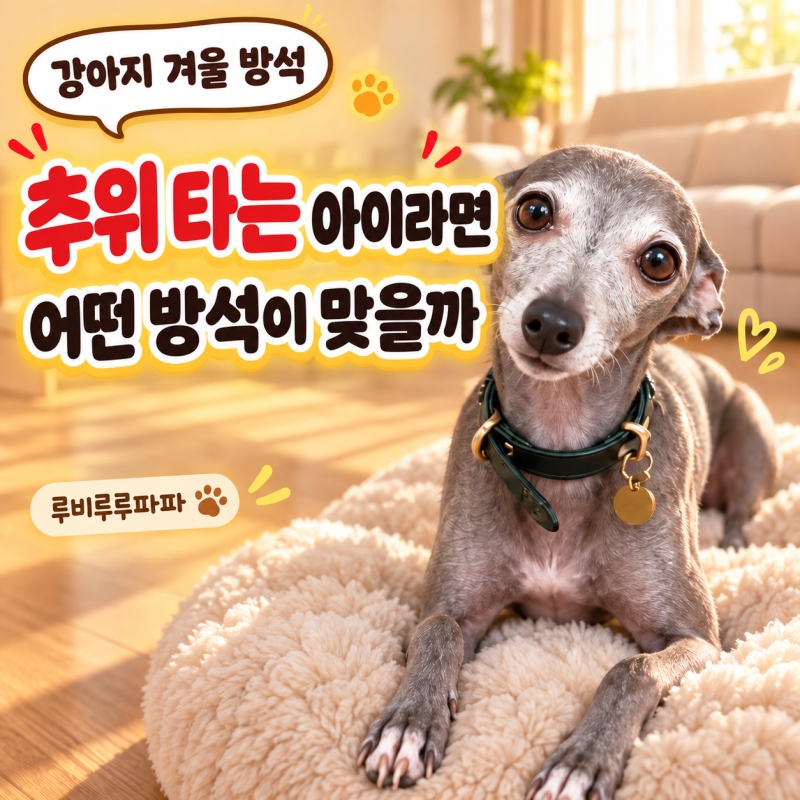 강아지 겨울 방석 추천 TOP 5, 추위 타는 아이 기준 비교