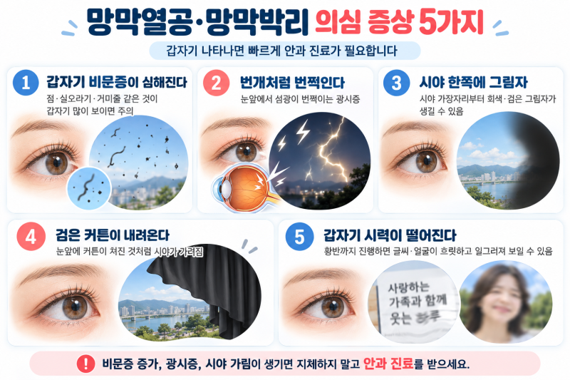 망막박리 증상부터 원인·수술·치료·회복 후기까지, 갑자기 번쩍이고 검은 커튼이 보인다면