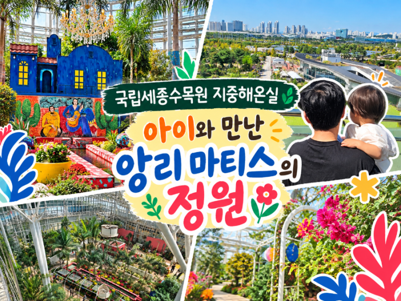 국립수목원 세종시아이와가볼만한곳 지중해온실 앙리마티스