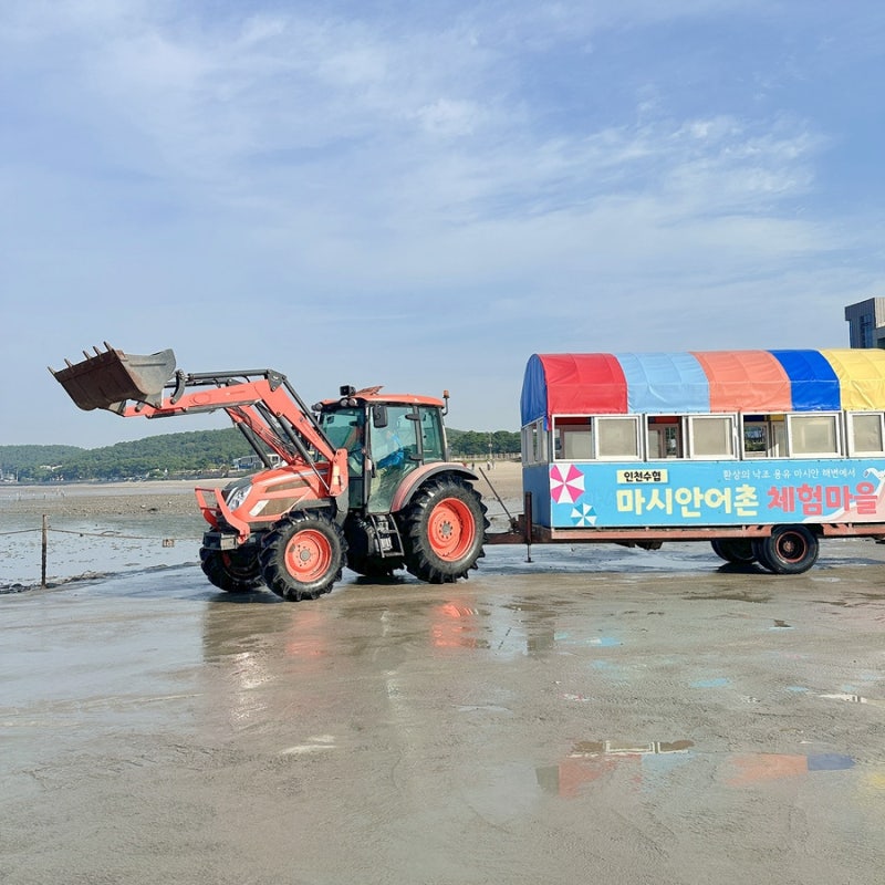 Mashian Tidal Flat Experience in Yeongjongdo: Preparations and Revisit Review (ft. Yongyu Eobo Grilled Fish Restaurant)