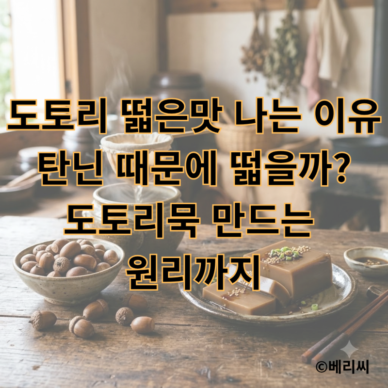 도토리 떫은맛 나는 이유｜탄닌 때문에 떫을까? 도토리묵 만드는 원리까지