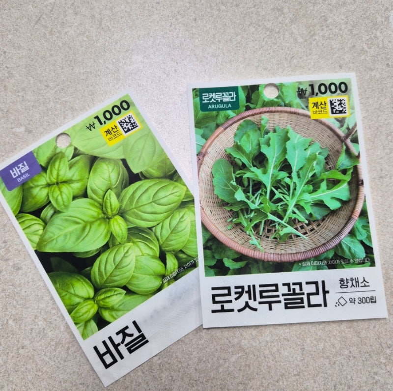 [틔운 미니 1] 엘지 틔운 미니 시작해보기! 어플설치부터 다이소 씨앗심기까지