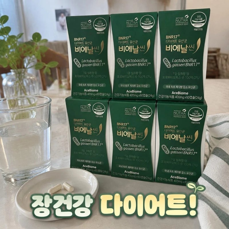 비엔날씬 bnr17 유산균 다이어트 60캡슐 6개 세트 성분과 특징 정리