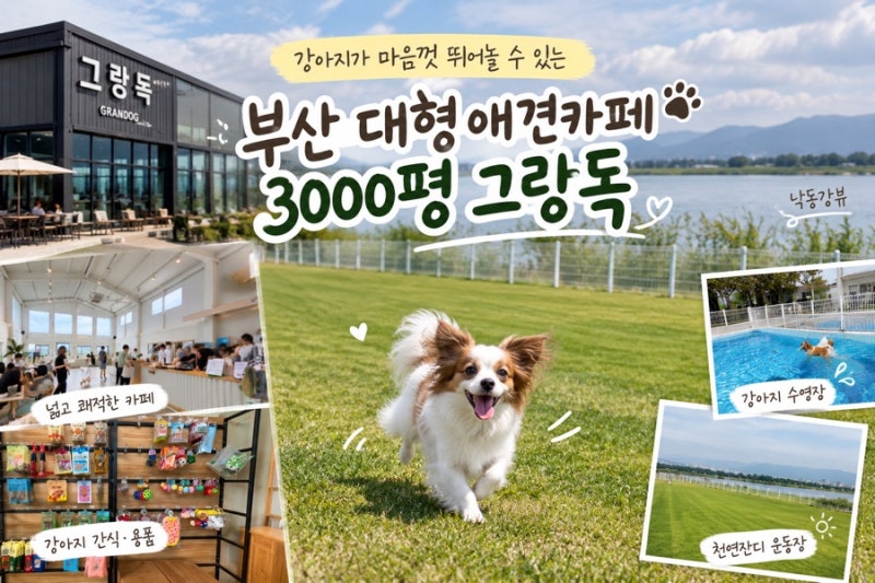 부산 강서구 그랑독ㅣ반려동물 오프리쉬 가능한 대형카페, 놀이터