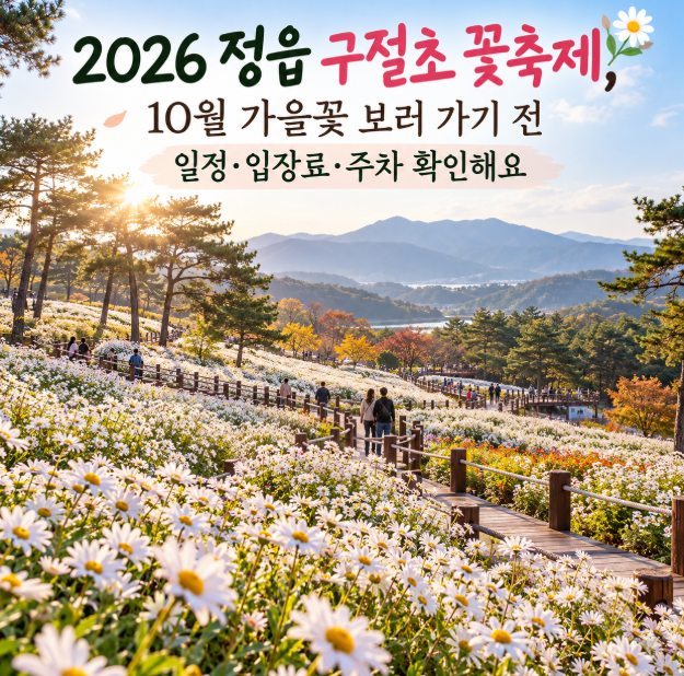 2026 정읍 구절초 꽃축제, 10월 가을꽃 보러 가기 전 일정·입장료·주차 확인해요