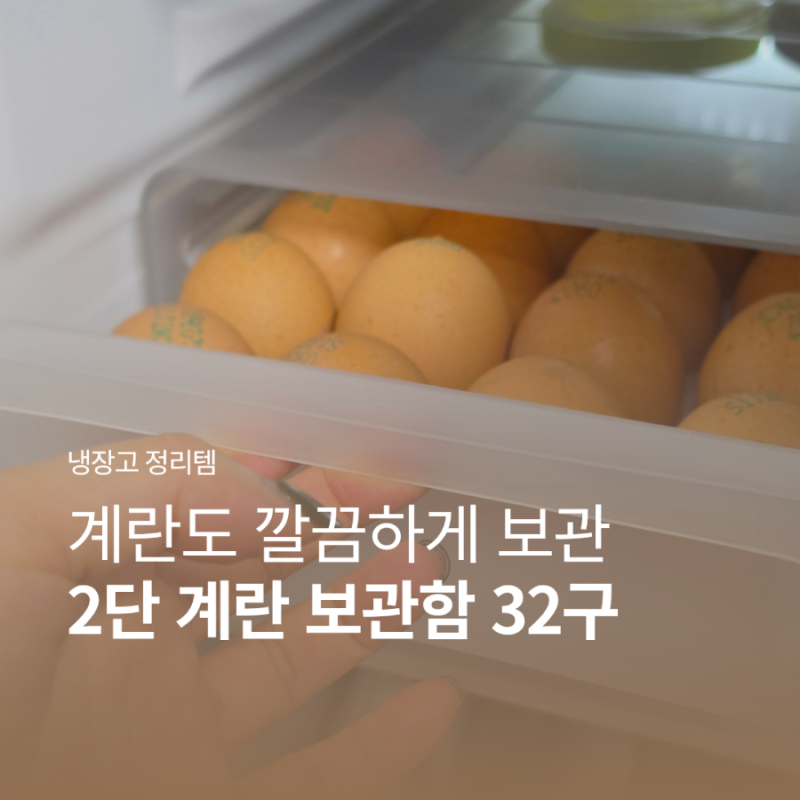 계란 한 판, 계란 보관함에 정리해봤다
