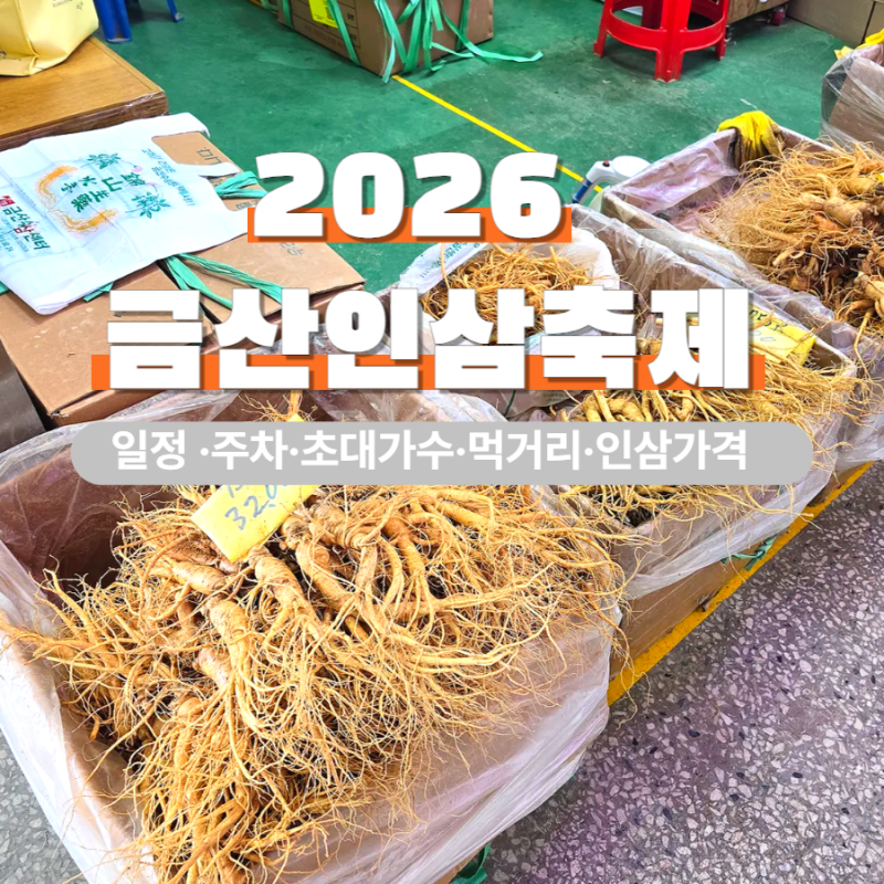 “인삼 얼마일까?” 2026 금산인삼축제 일정·초대가수·주차·먹거리, 인삼 가격까지