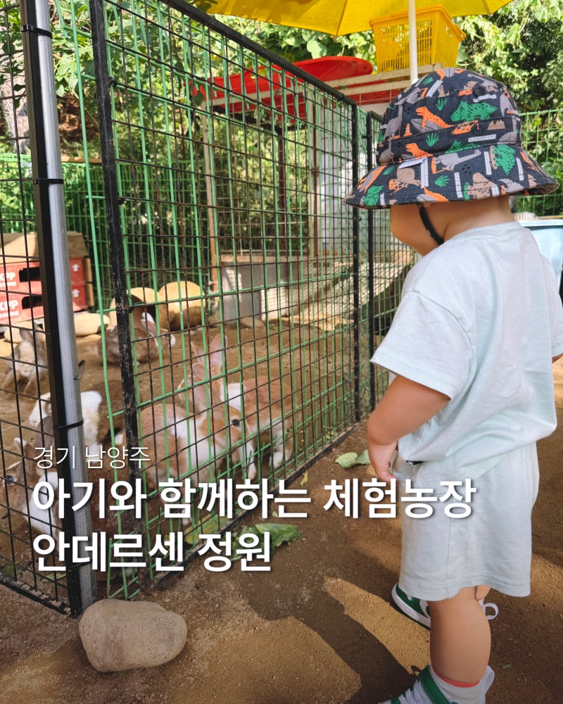 남양주 체험농장 안데르센 정원, 아이와 다녀온 동물체험 후기