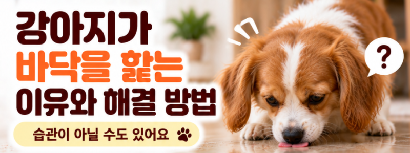 강아지가 바닥을 핥는 이유와 확인할 점