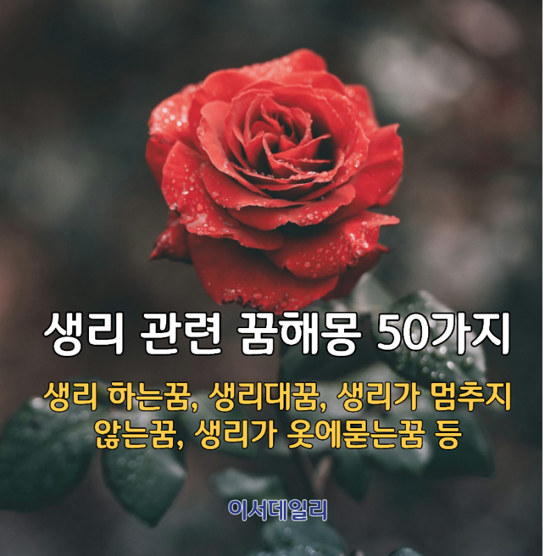 생리하는 꿈, 생리대꿈, 옷에 피가 묻는 꿈, 생리가 많이나오는꿈, 생리대가 흠뻑젖는꿈 해몽....