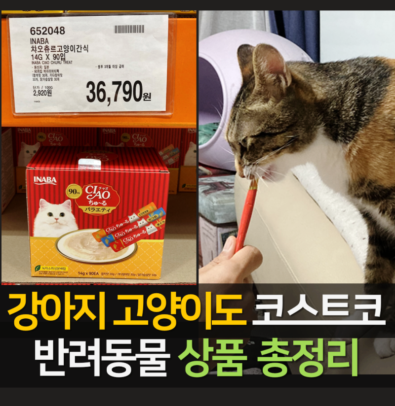 코스트코 애견 · 반려동물 용품 · 식품 총정리