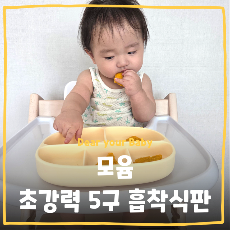 [이유식] 모윰 5구 초강력 흡착식판 솔직 사용후기