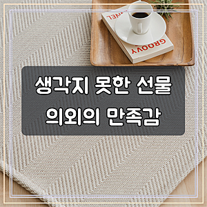 스칸디앤홈 먼지없는 쉐브론 사이잘룩 러그 워셔블 거실 카페트