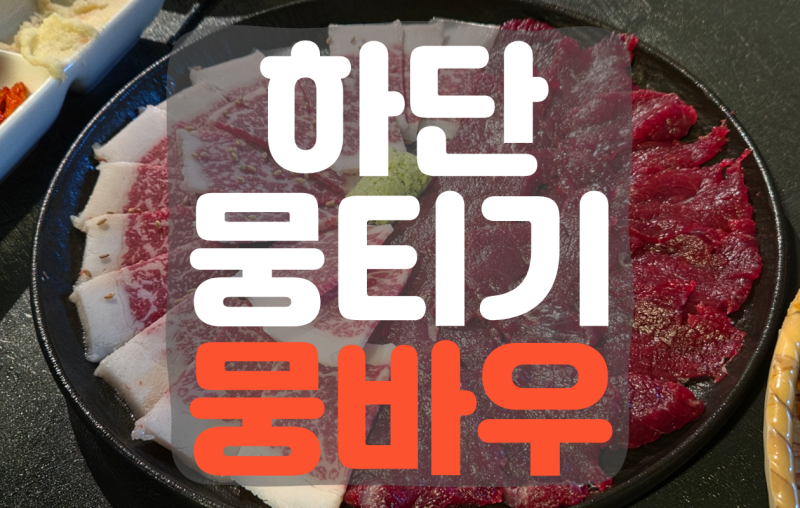 하단 뭉티기 맛집 뭉바우 차돌 오드레기 차돌박이 사시미 뭉티기 추천