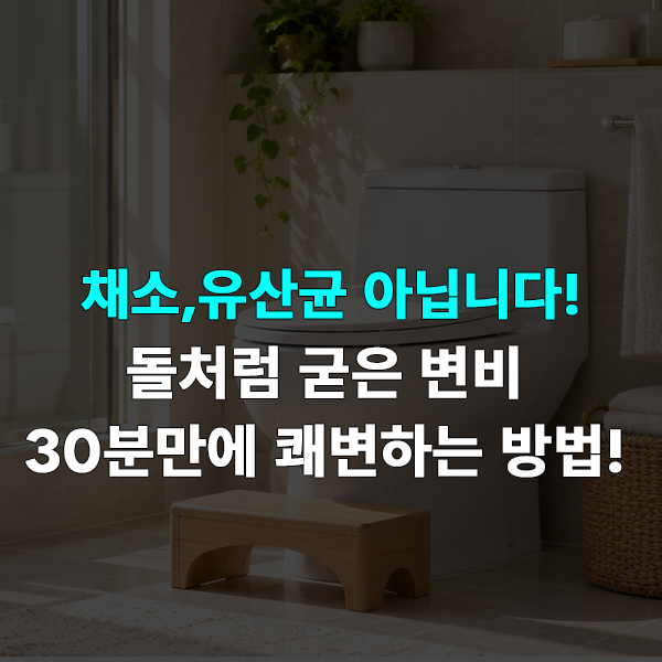 "채소, 유산균 아닙니다..." 돌처럼 굳은 변비 뻥 뚫리는 방법 ｜식이섬유보다 먼저 확인해야 ....