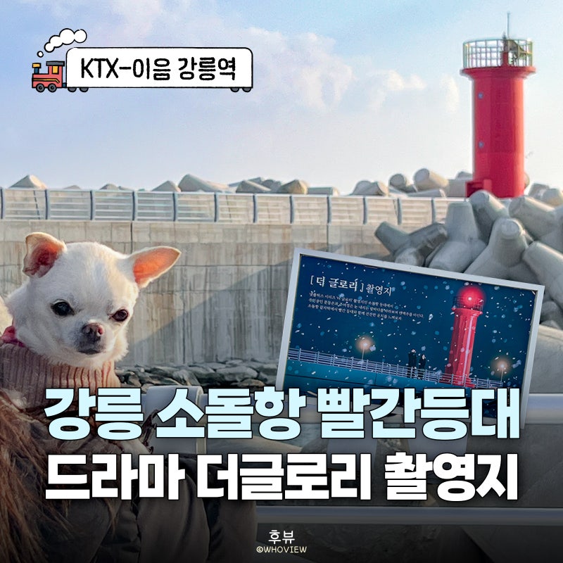강릉 애견동반 가볼만한곳 더글로리 촬영지 소돌항 아들바위공원 시티버스