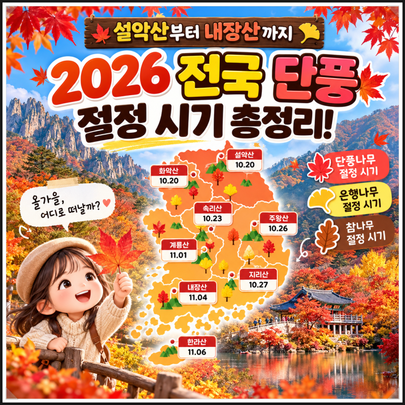 2026 전국 단풍 절정 시기 총정리! 설악산부터 내장산까지 가을 단풍 명소