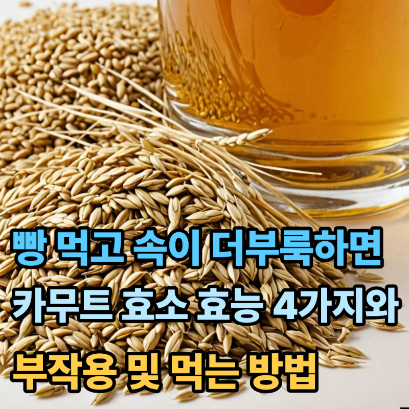 "밥 빵 먹고 속이 더부룩하다면?"...카무트 효소 효능 4가지와 먹는법