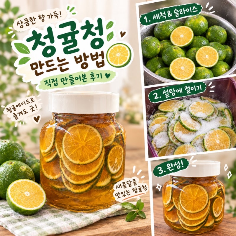 풋귤청 만들기 성공 레시피 청귤청 세척부터 숙성 기간까지 완벽 정리