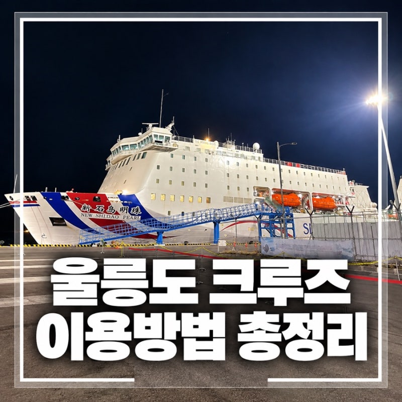 울릉도 크루즈 이용방법 총정리, 예약·운임·4인실·운항시간까지