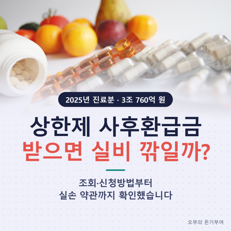 상한제 사후환급금 조회·신청방법, 받고 나면 실비 보험금은 깎일까