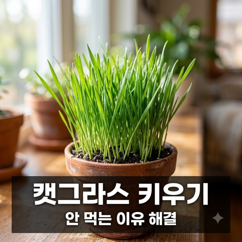 캣그라스 키우기 초보 가이드, 고양이가 안 먹는 이유와 해결책