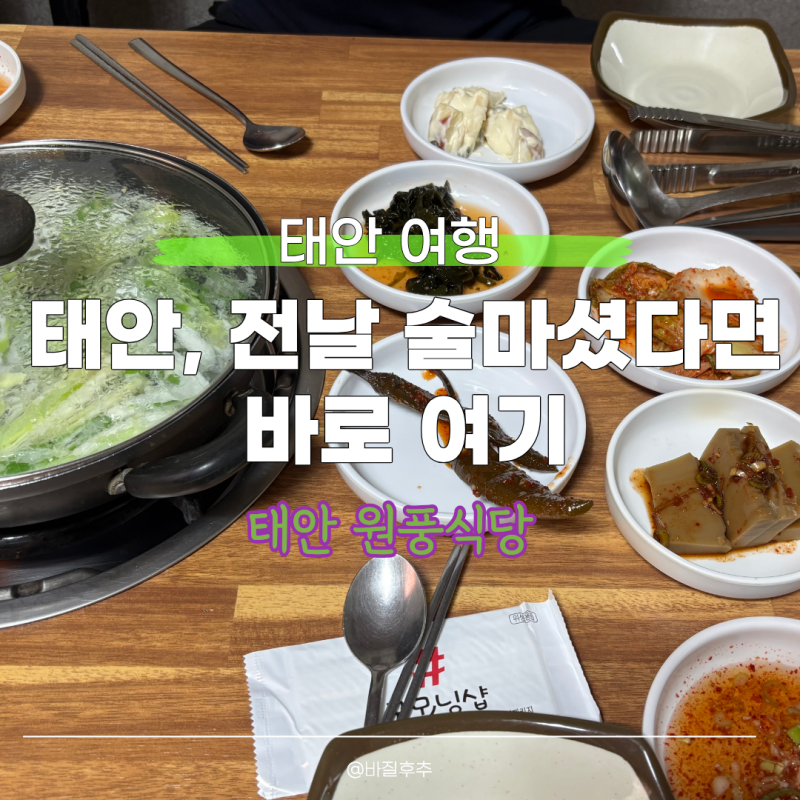 태안에서만 먹을 수 있는 음식?술먹은 다음날 더맛있는 원풍식당 박속밀국낙지탕 후기