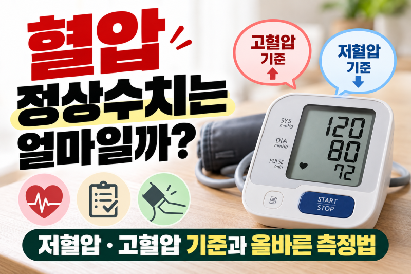 혈압 정상수치는 얼마일까?｜저혈압·고혈압 기준과 올바른 측정법