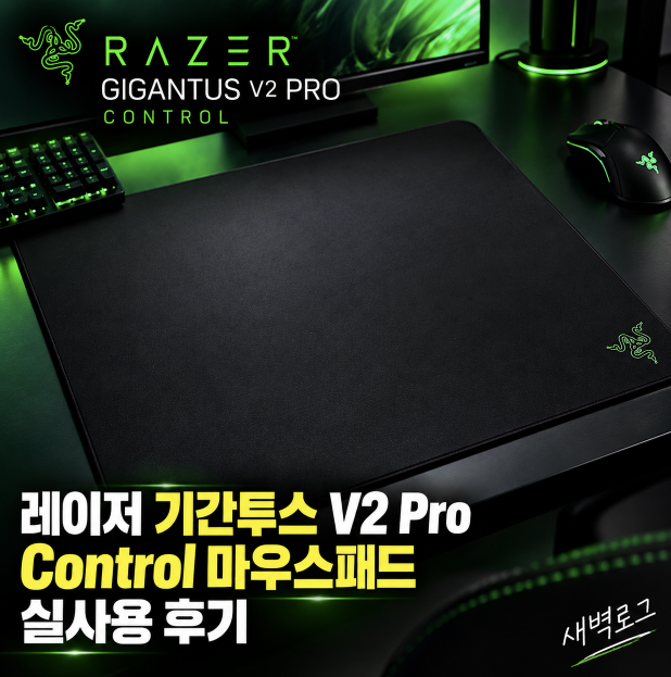 레이저 기간투스 V2 Pro Control 마우스패드 실사용 후기, 넓은 사이즈와 컨트롤감