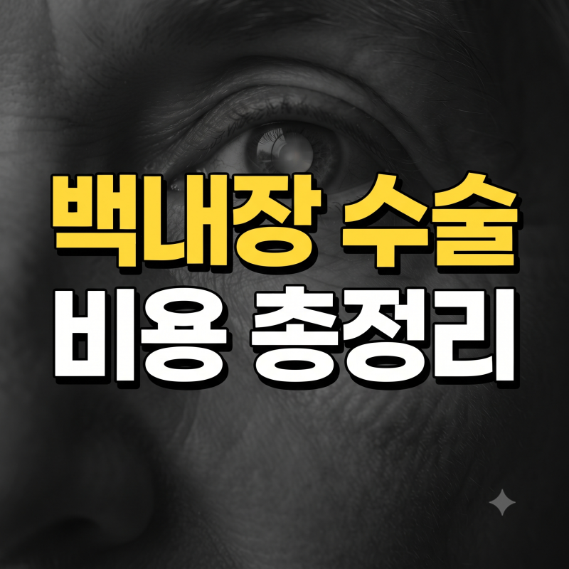 노인 백내장 수술비용 총정리 (건강보험 본인부담금 실손보험 65세 이상 지원 혜택)