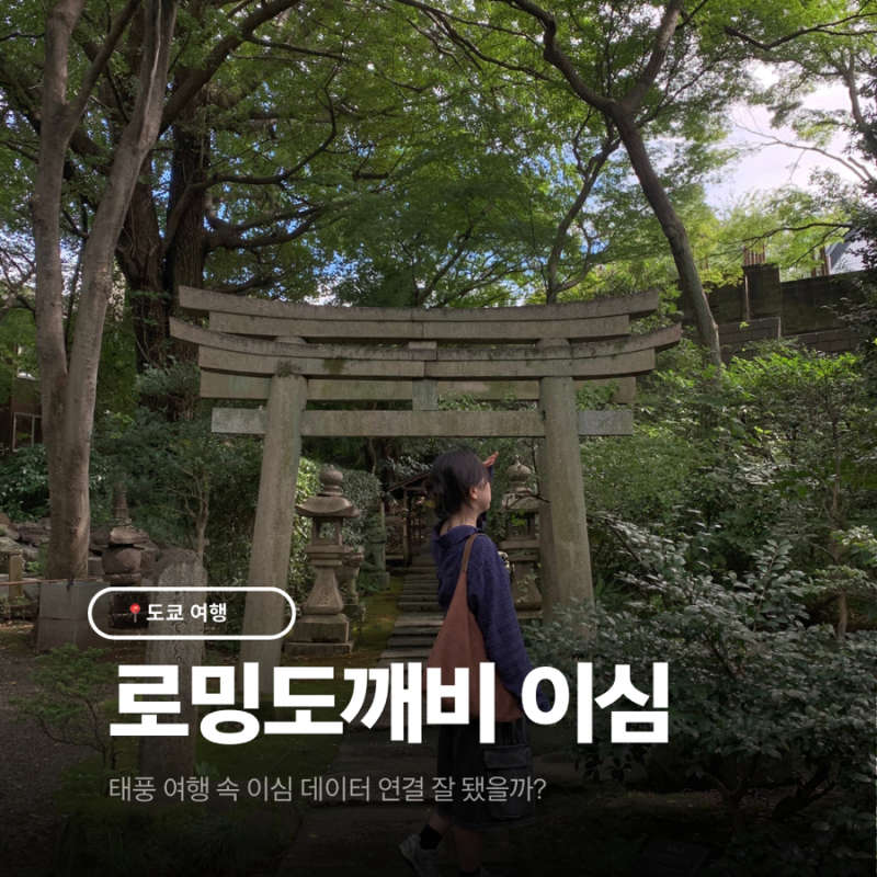 일본 도쿄 이심 추천, 로밍도깨비 무제한 후기 태풍에도 끊김 없을까?