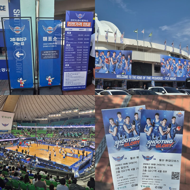 한국가스공사 페가수스 KBL 프로농구 직관 후기