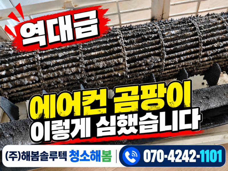 부천 벽걸이 에어컨 분해세척 현장｜송풍팬을 꺼내보니 역대급 곰팡이였습니다
