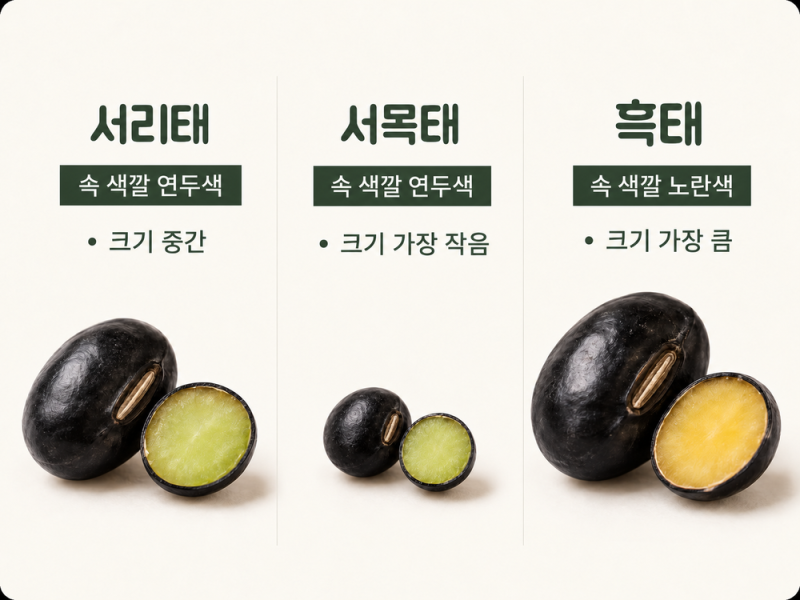 검은콩 종류, 서리태·서목태·흑태 차이와 활용법