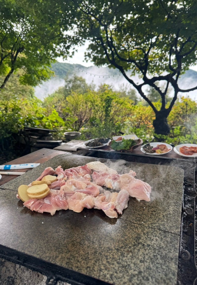 동서울터미널에서 새벽버스타고 지리산노고단코스갔다가 구례풀꽃농원 돌판닭구이 방문 찐....