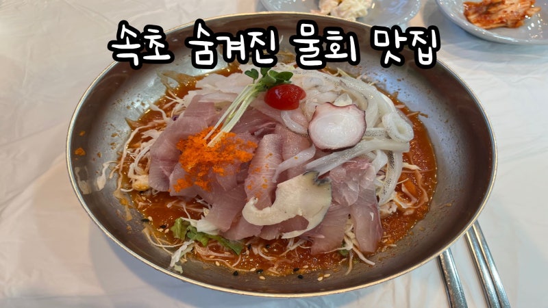관광객은 잘 모르는 속초 현지인 물회 맛집? 구구집, 물회, 성게비비빔밥 후기 !