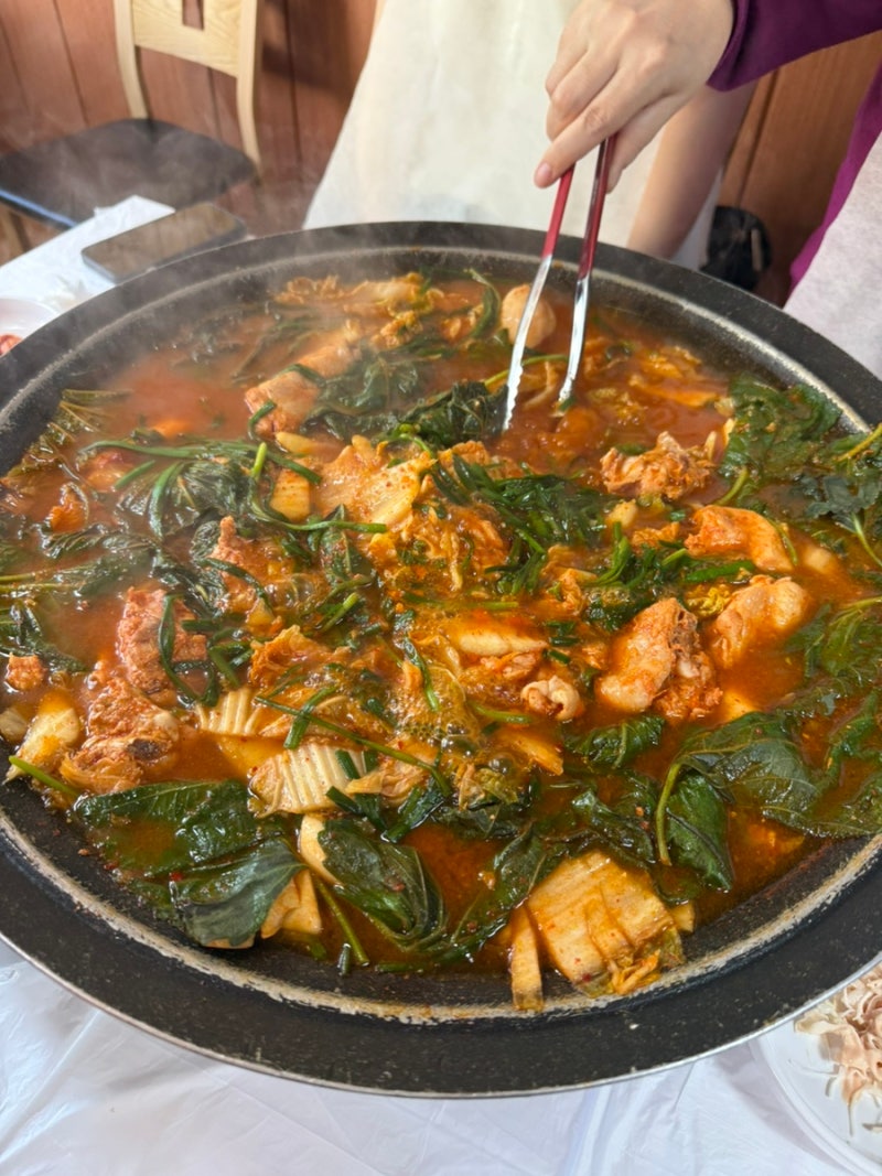 [태백 맛집] 백종원 3대천왕 태백닭갈비 본점 물닭갈비 솔직후기