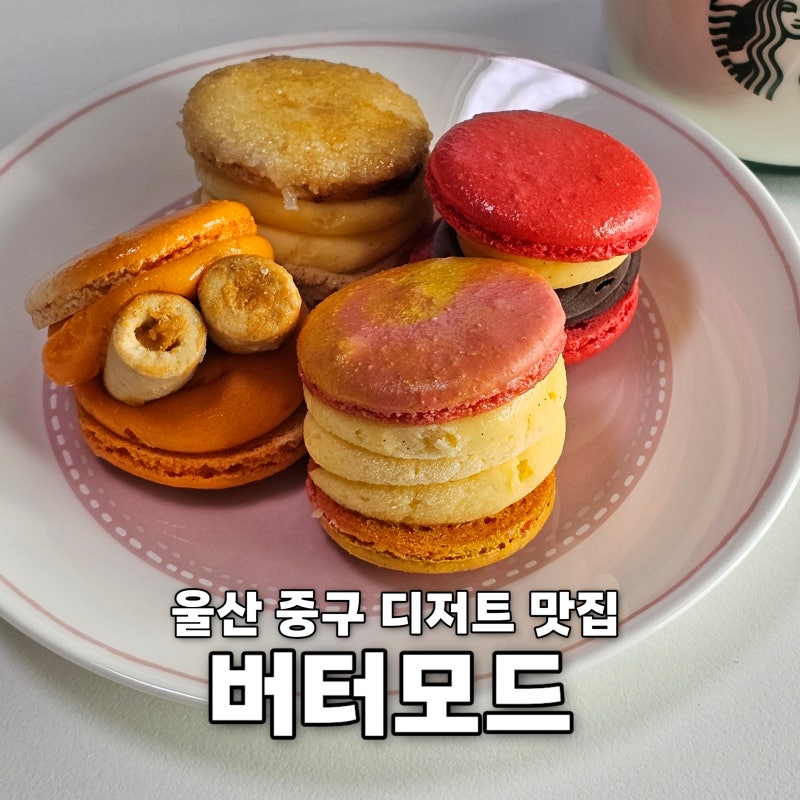 울산 마카롱 맛집 버터모드 중구 성남동 문화의거리 당일 레터링케이크 가능