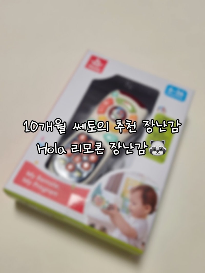 [Hola(홀라)] 10개월 아기 장난감 추천｜Hola(홀라) 마이 리모콘 내돈내산 후기