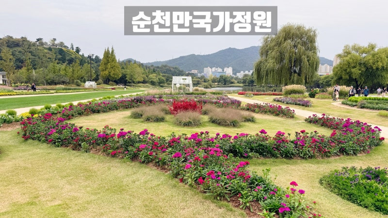 [전남/순천] 순천만국가정원｜동문에서 서문까지 가을 정원 나들이