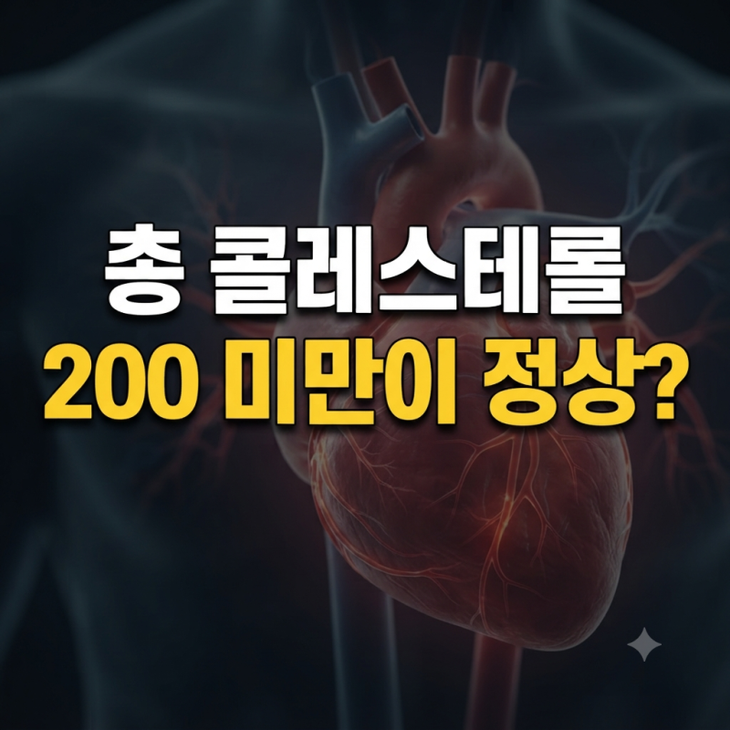 콜레스테롤 수치 낮추는 방법: 정상 범위 확인부터 좋은식단 관리까지