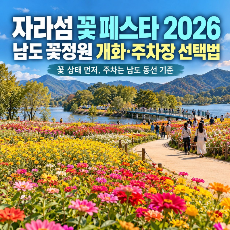 자라섬 꽃 페스타 2026, 남도 꽃정원 개화와 주차장 선택법
