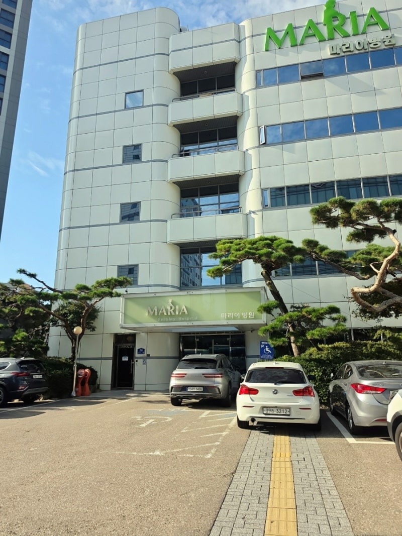 "정부에서 13만 원 준다는데 왜 안 챙겨요?" 아는 사람만 쏙쏙 타 먹는 가임력 검사 혜택 (난자....