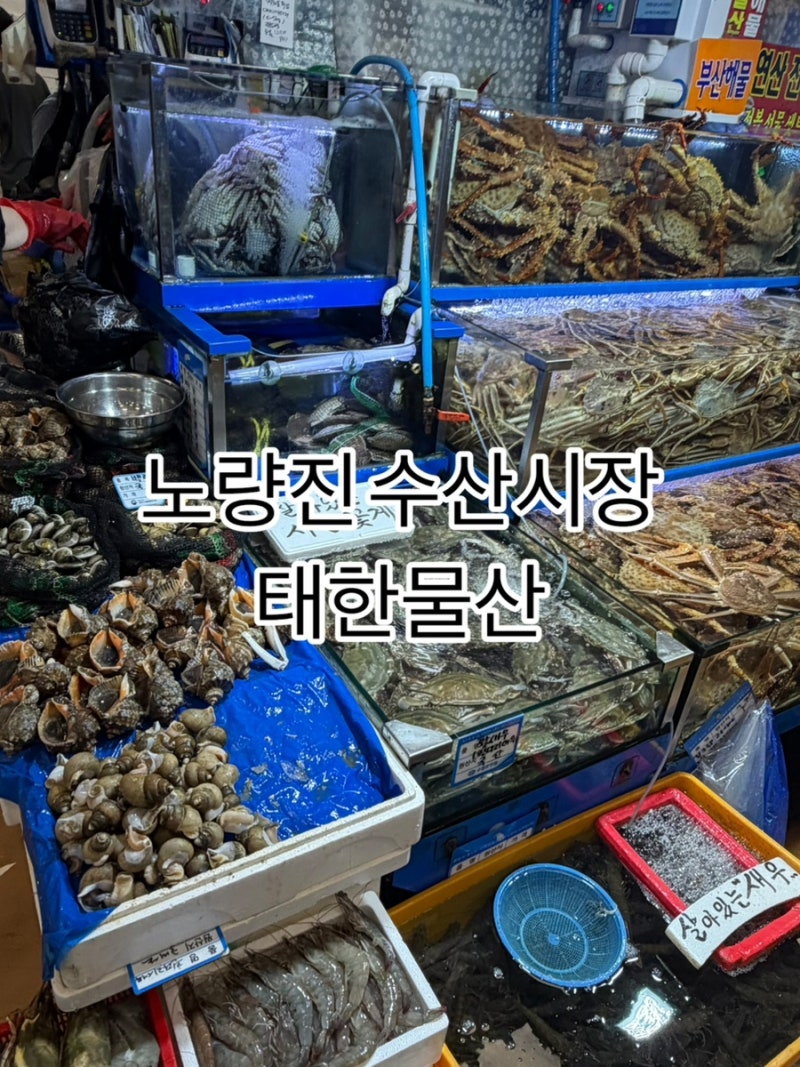 맛집탐방] 노량진수산시장 대게 맛집, 수율 꽉찬 태한물산