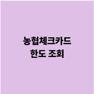 농협체크카드 한도 조회 변경 결제한도 늘리는 방법