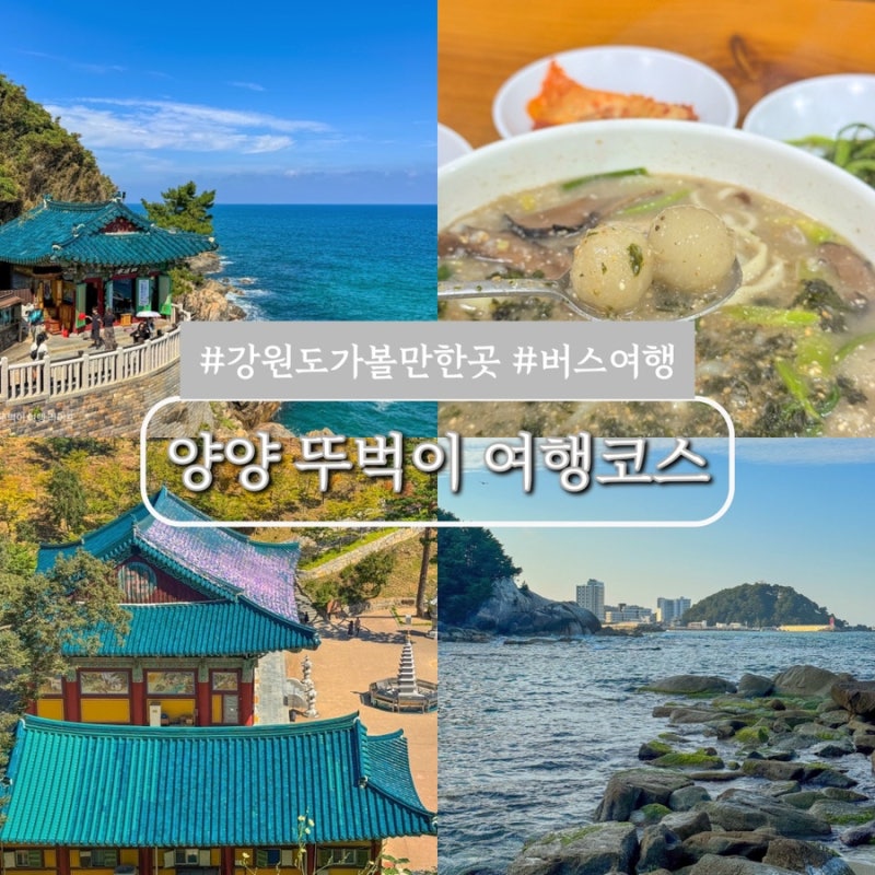 강원도 양양 가볼만한곳 당일치기 뚜벅이 버스 여행 코스