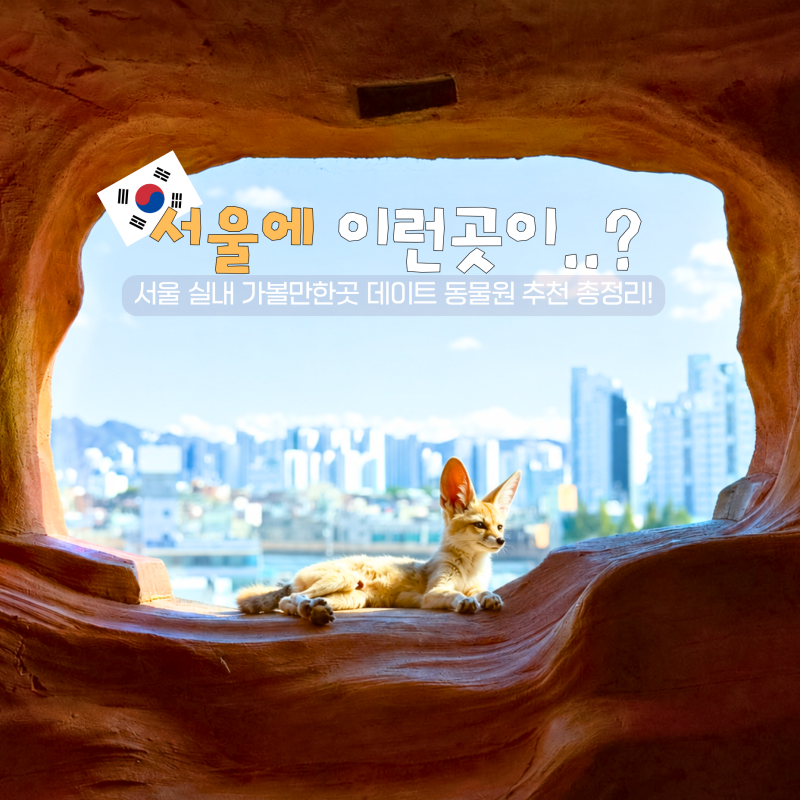 “여길 왜 이제 알았지?” 서울 실내 가볼만한곳 데이트 동물원 추천!