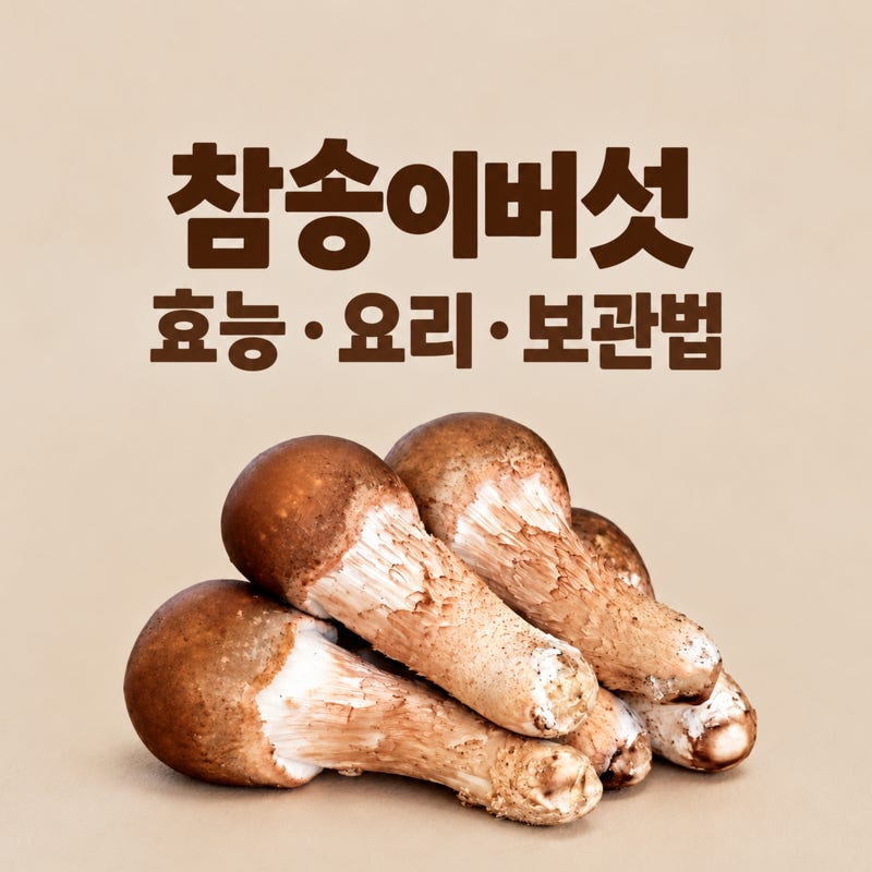 참송이버섯 요리 보관법 효능 송이버섯보관 냉장보관