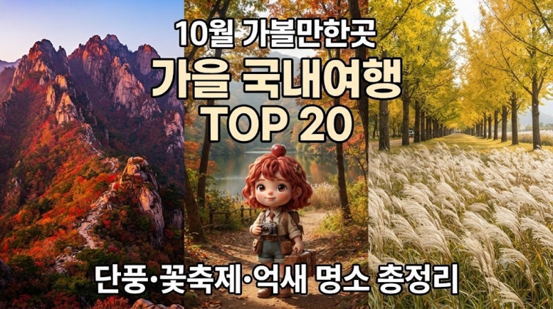 10월 가볼만한곳 TOP 20｜단풍부터 꽃축제까지 주말 국내여행 추천