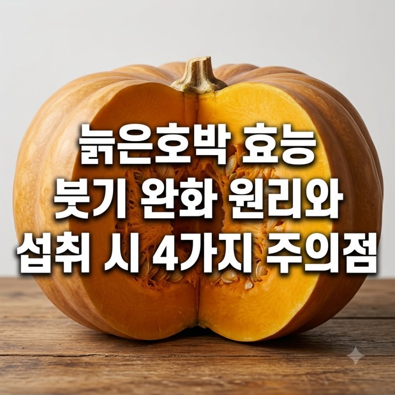 늙은호박 효능 붓기 완화 원리와 섭취 시 4가지 주의점
